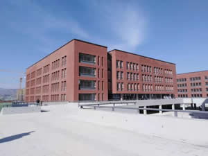 典型案例——平涼市第一中學新校區(qū)石材結晶項目